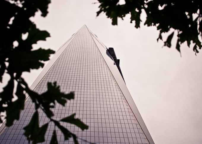 Freedom Tower and Tree