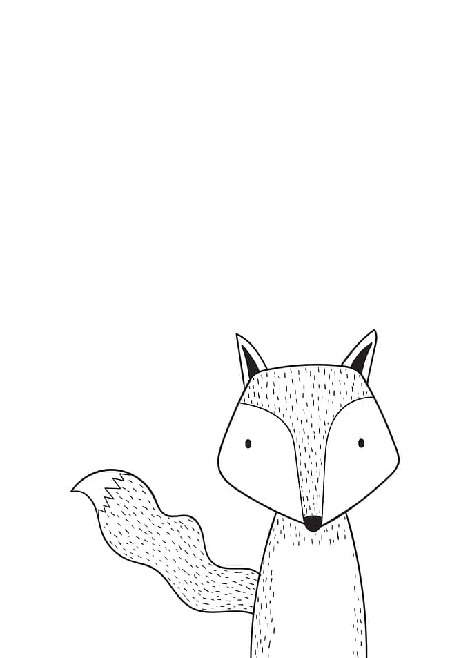 Minimal Fox
