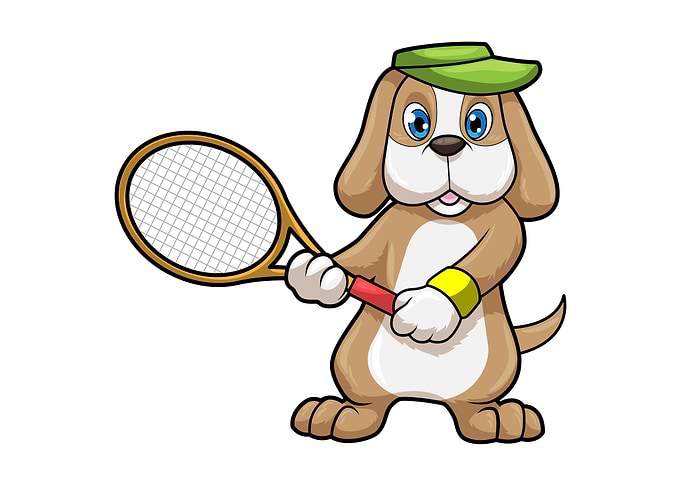 Dog Tennis Tennis racket