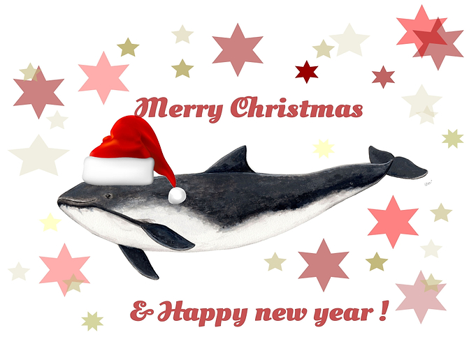 Merry Christmas porpoise