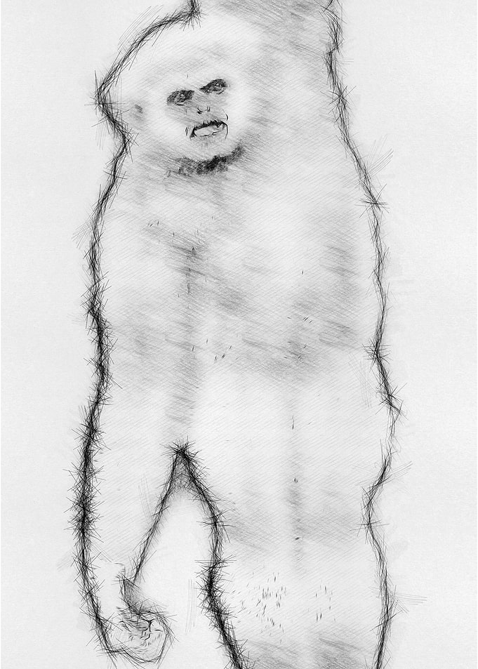 Monkey Pencil Drawing Art