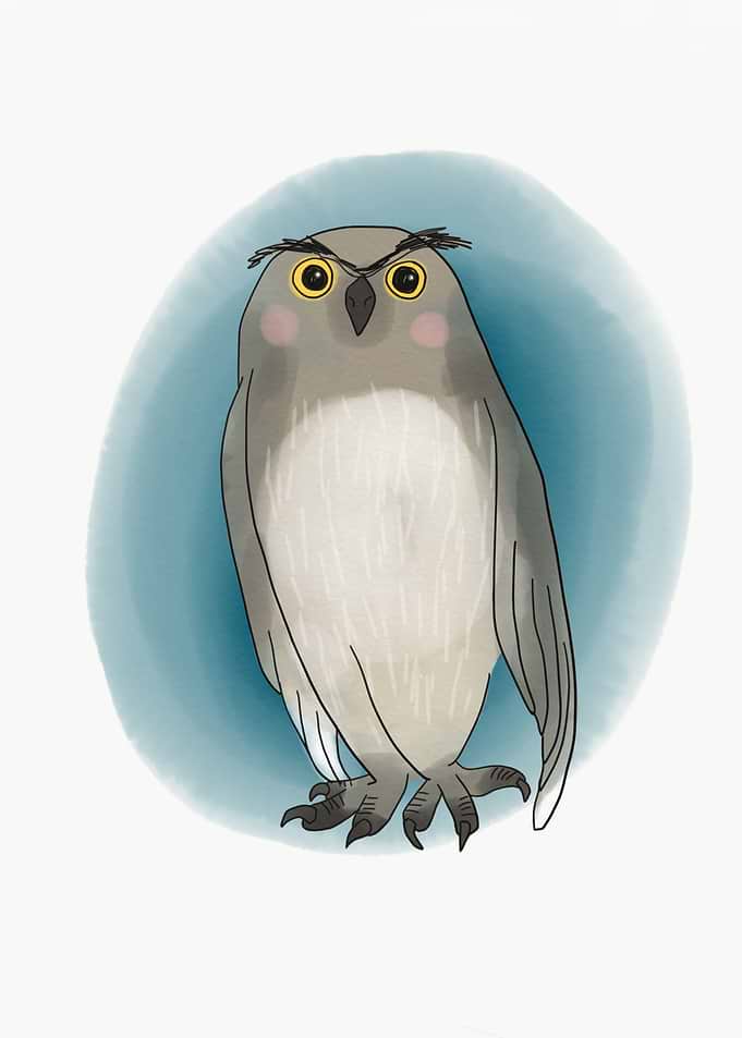 Owl bird painting
