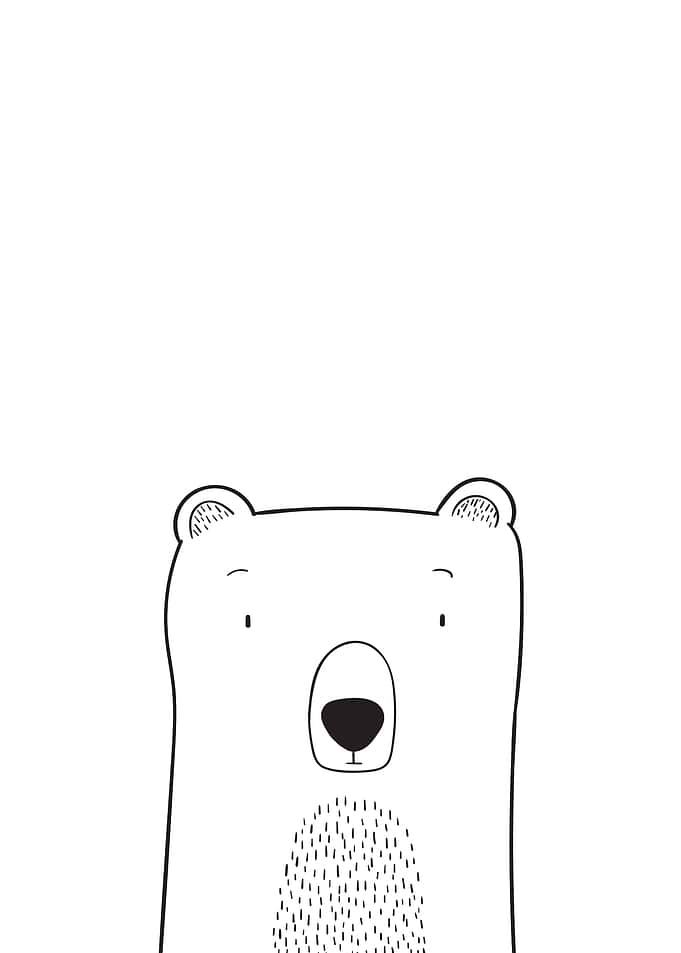 Minimal Bear