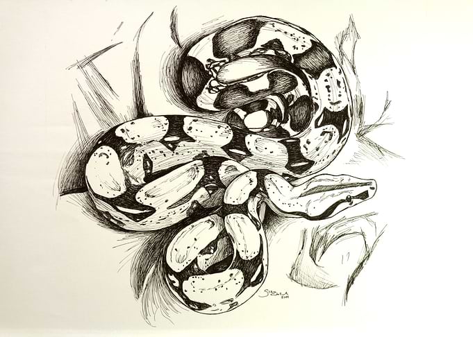 Snake