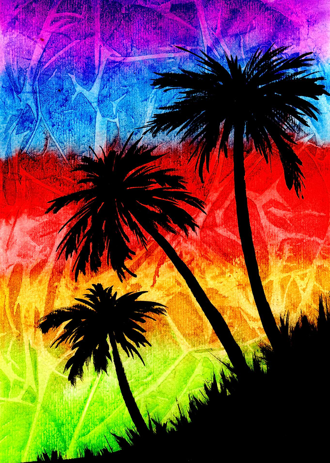 Rainbow Palm Trees Shadows