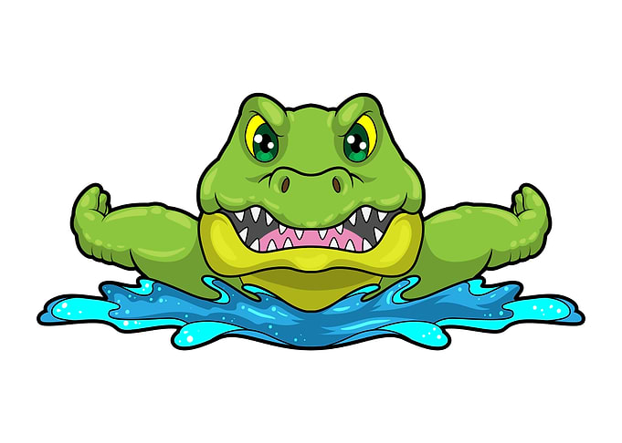 Crocodile Swimming Water