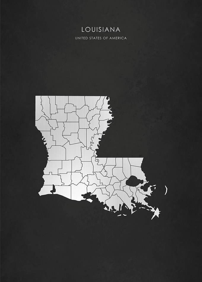 Silver Louisiana State Map