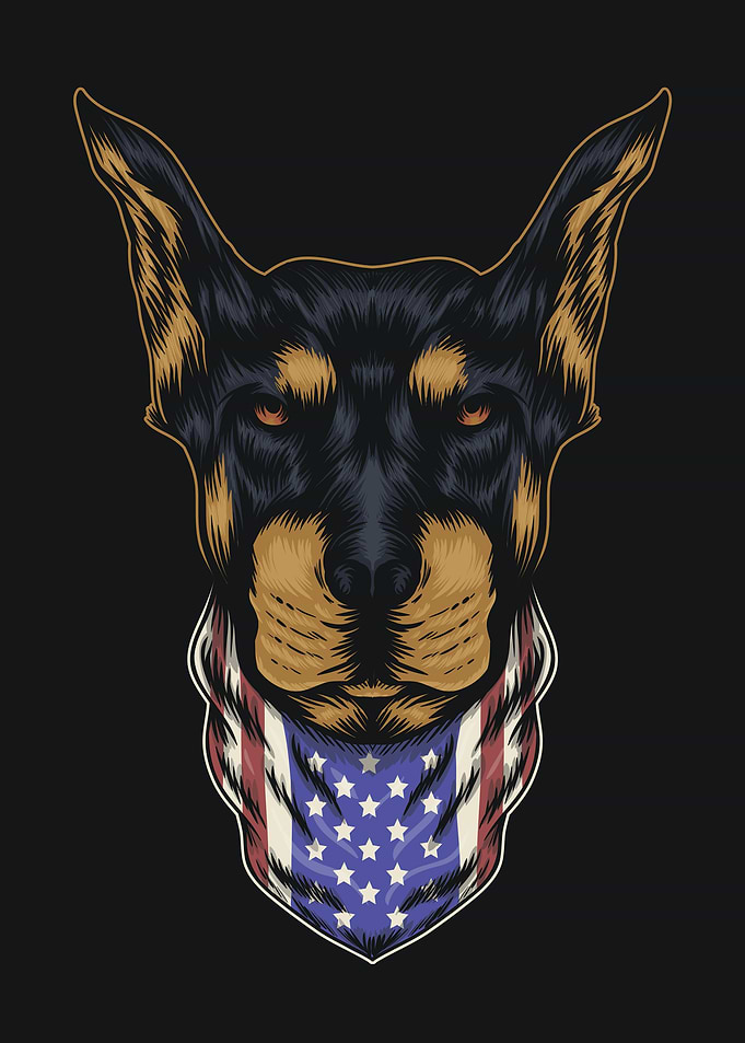 Doberman dog