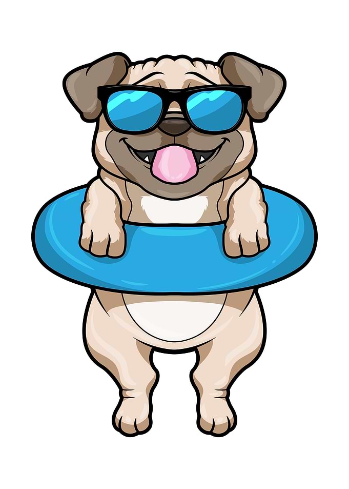 Pug Swimming Swim ring