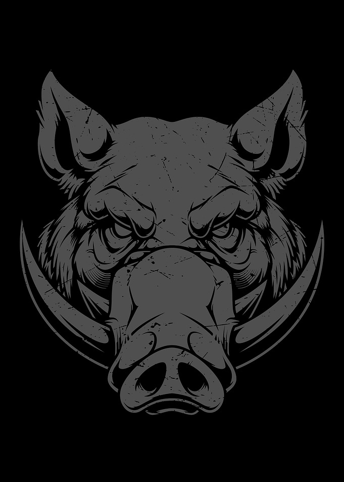 Hog