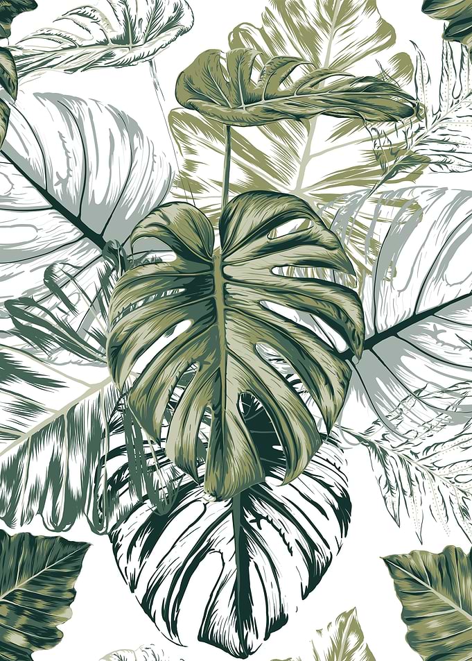 Tropical