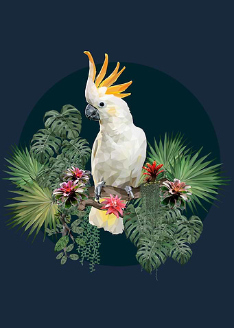 Tropical