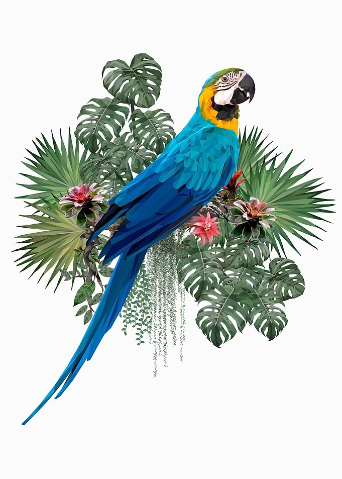 Tropical