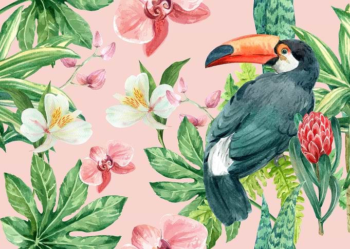 Tropical