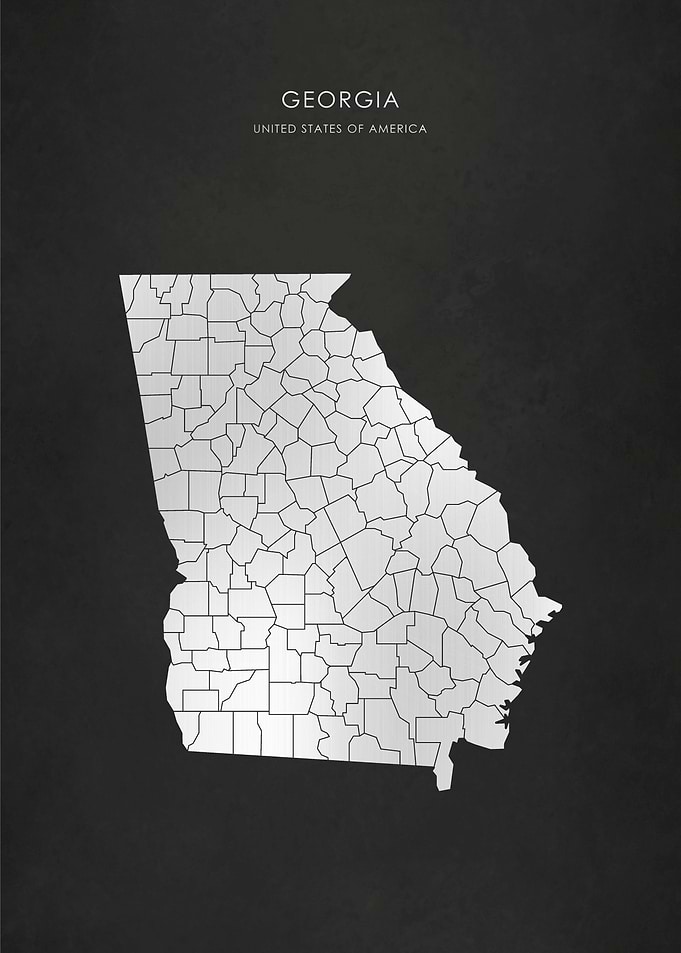 Silver Georgia State Map