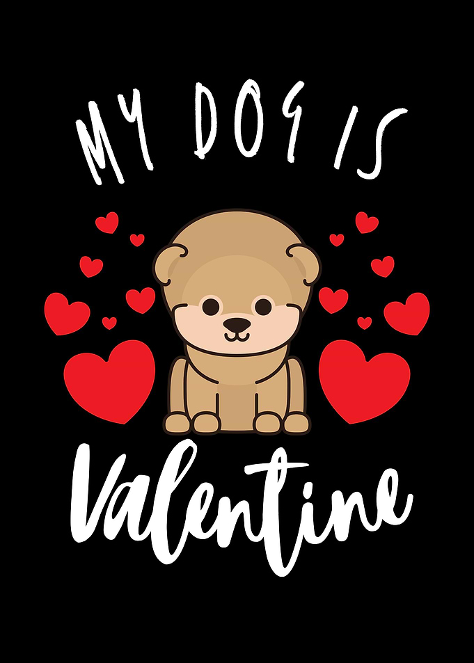 My Cat Is My Valentine