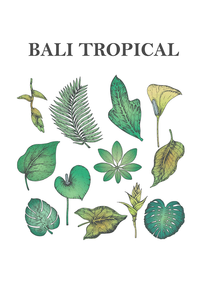 Tropical