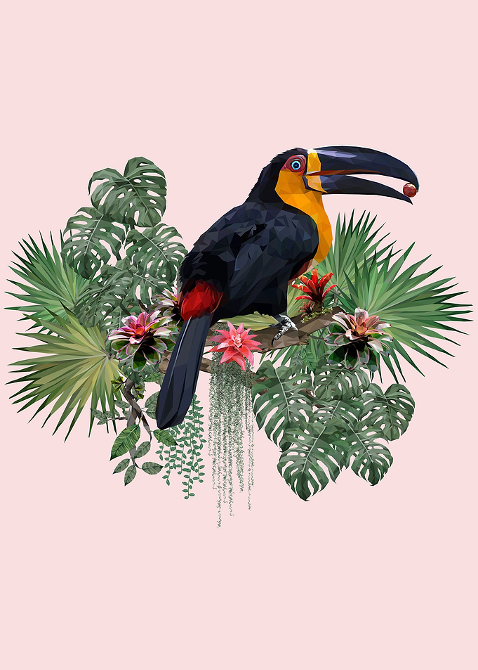 Tropical