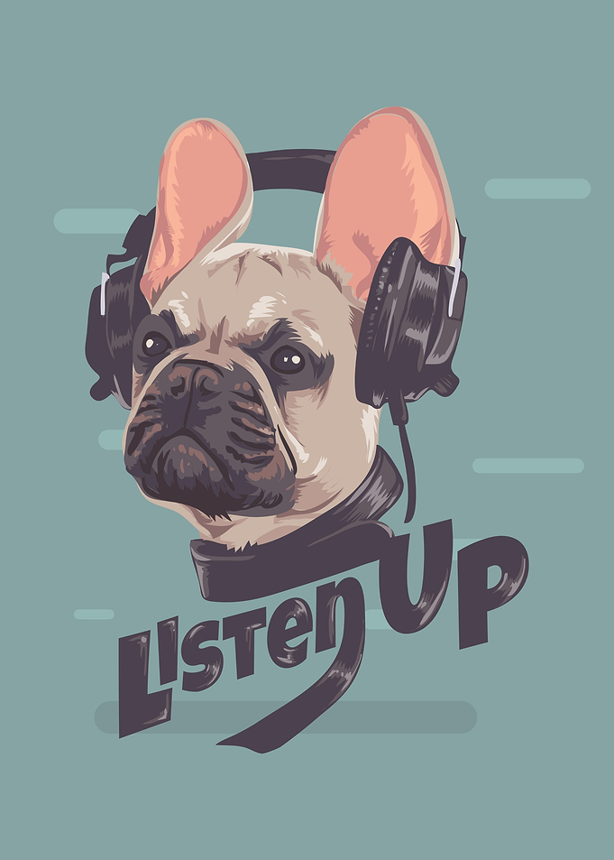 French Bull dog