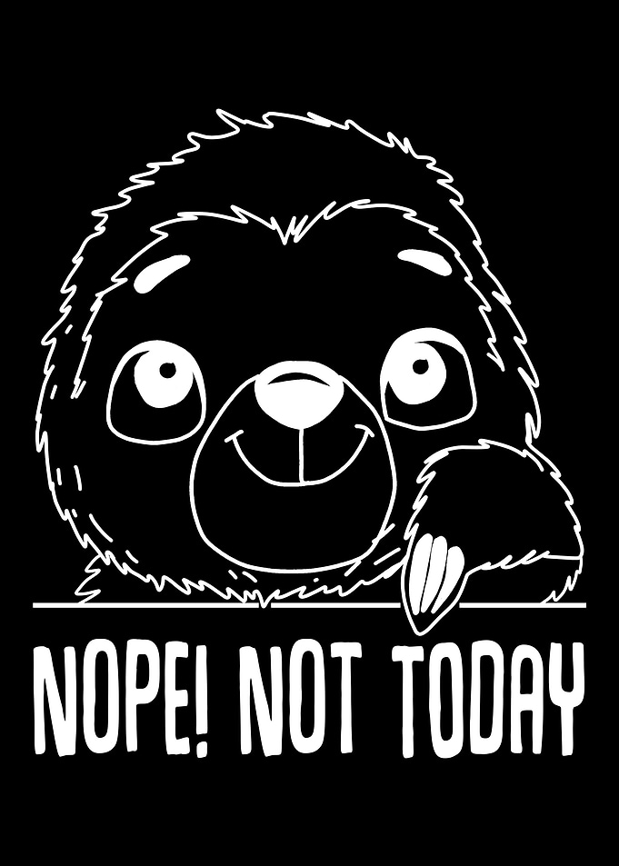 Sloth gift