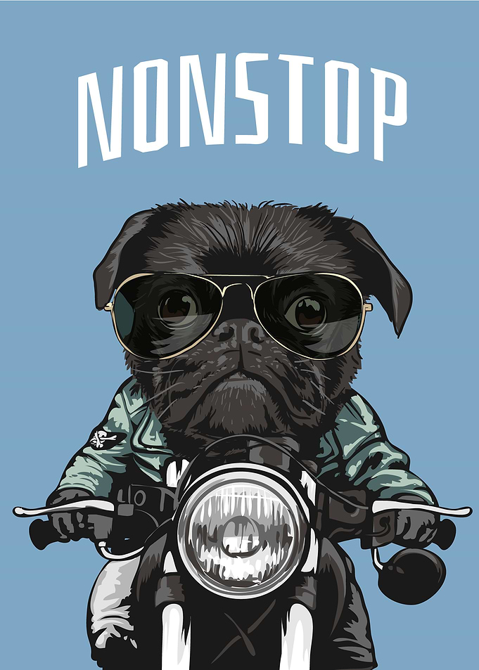 Nonstop funny PUG