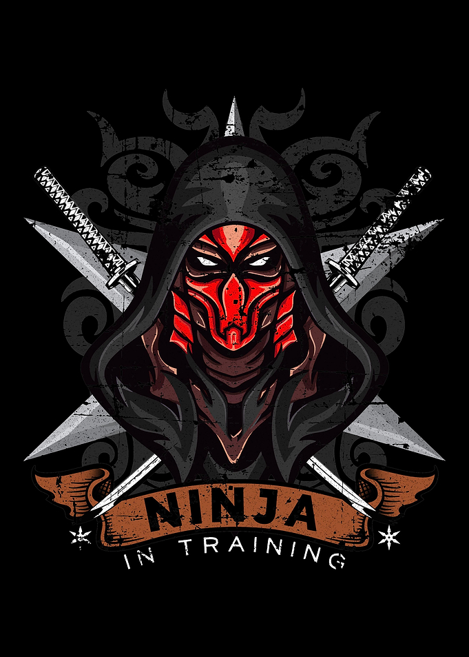 Ninja gift
