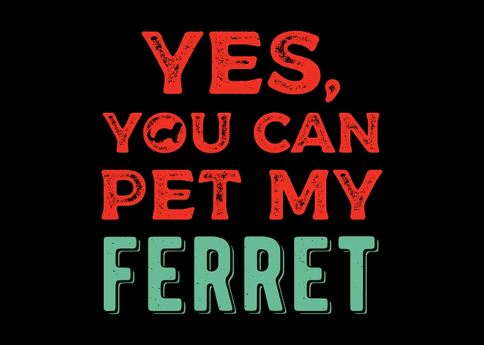 Ferret Funny Quote