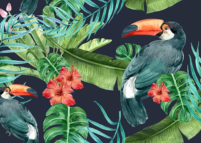 Tropical