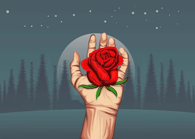 Rose