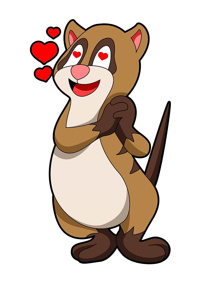 Meerkat Love Hearts