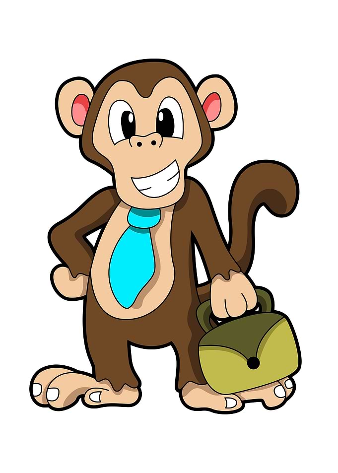 Monkey Bag