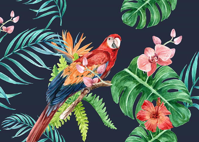 Tropical