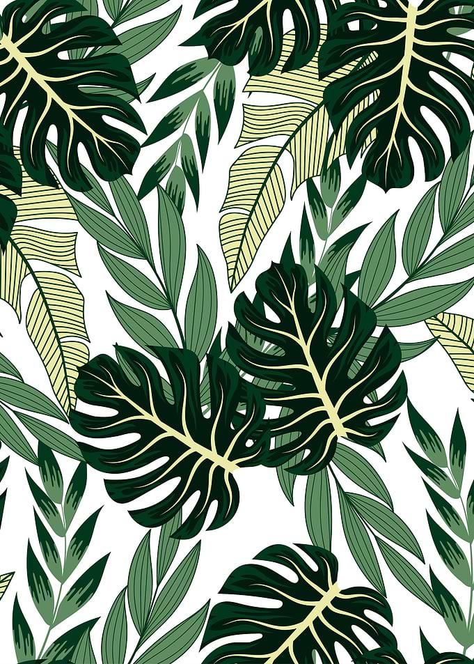 Tropical