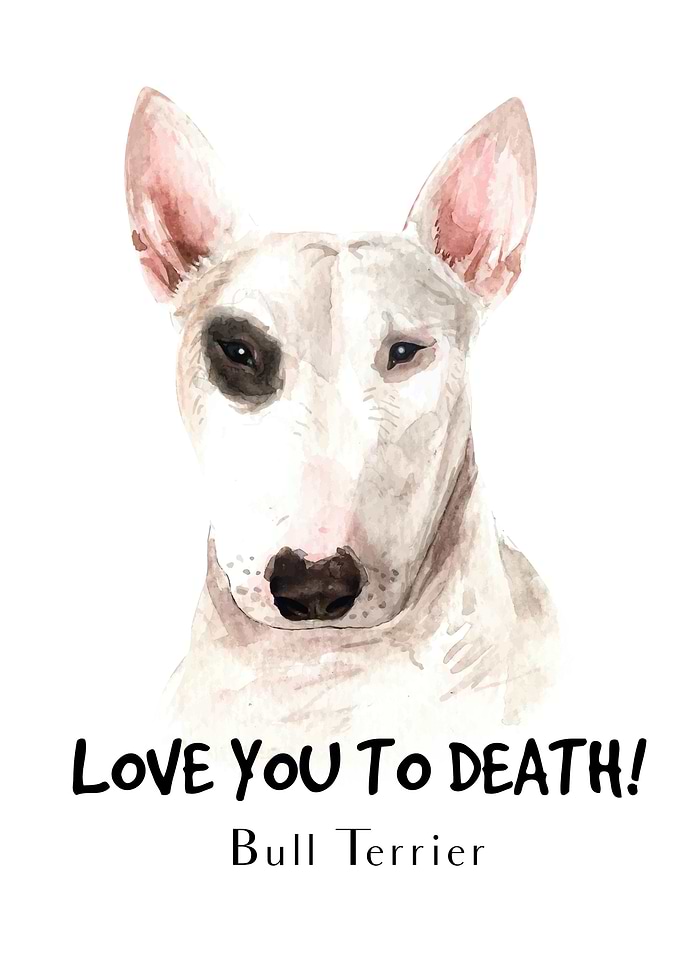 Funny Bull Terrier