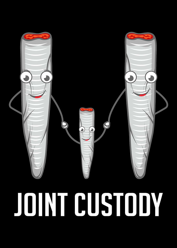 Joint Custody Family Man G