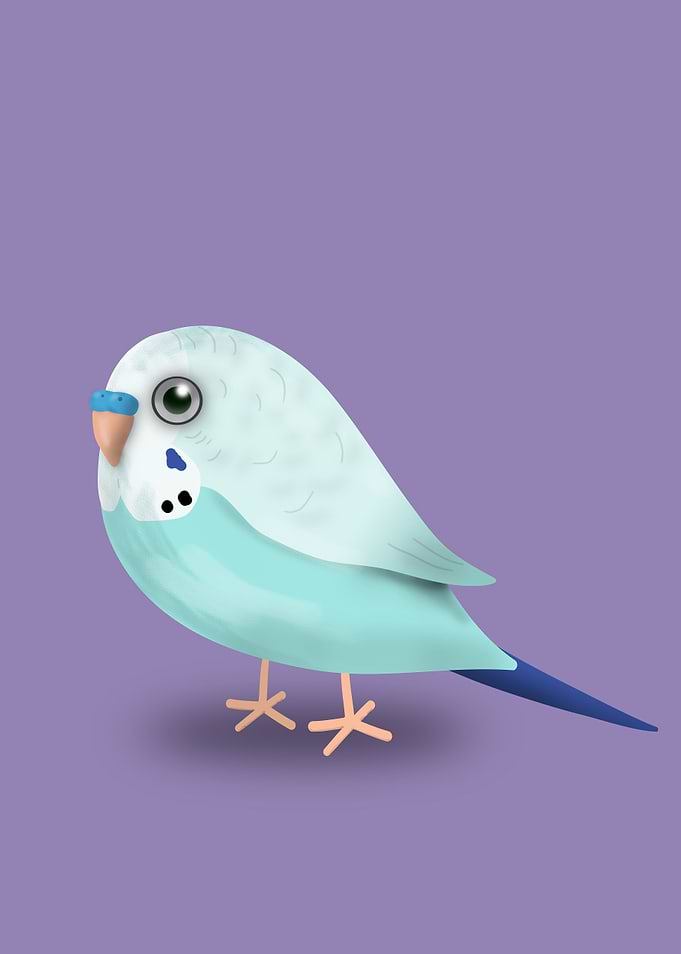 Cute illustration af a bu