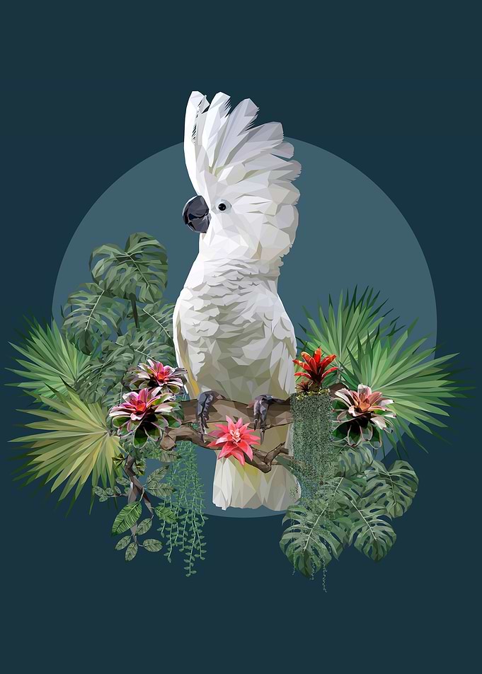 Tropical