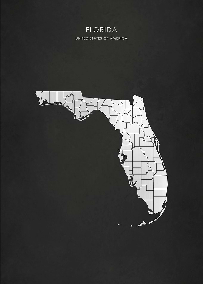 Silver Florida State Map
