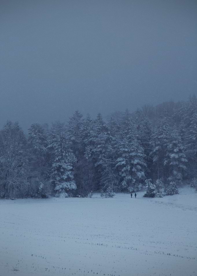 Winter Storm