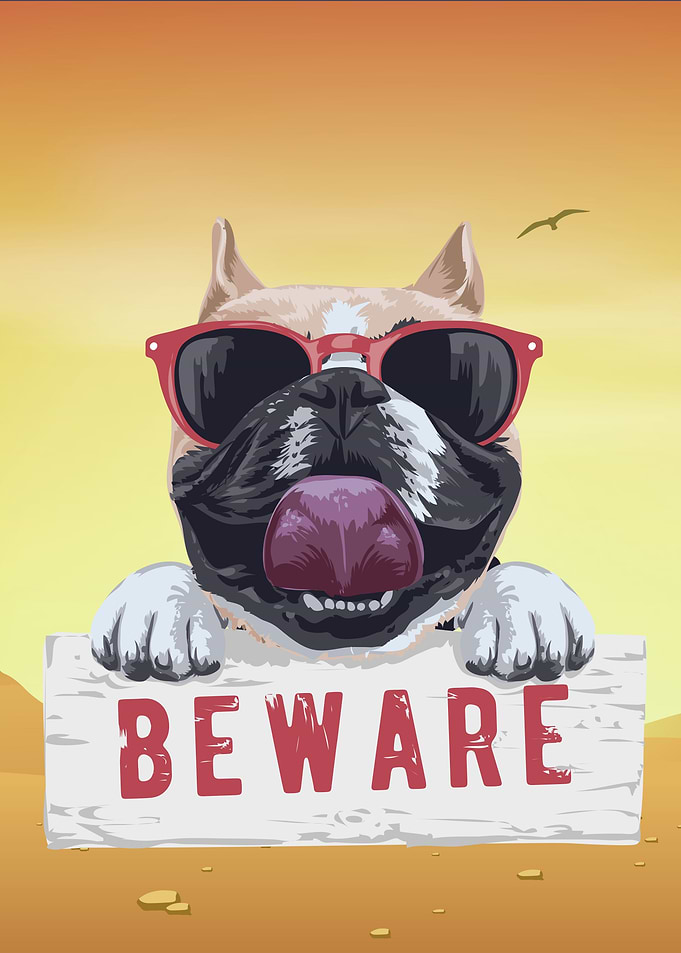 funny bulldog