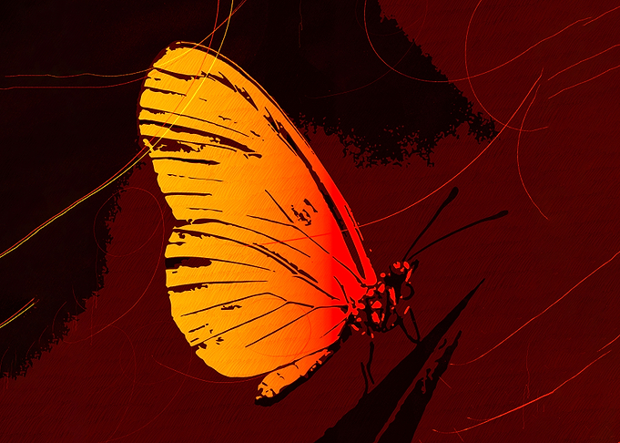 Winged Luminous Soul