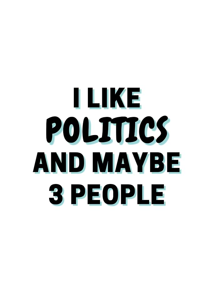 I Like Politics And Maybe