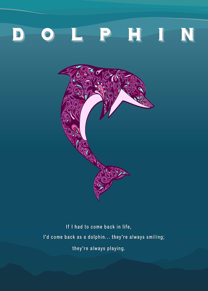 Dolphin