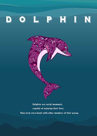 Dolphin
