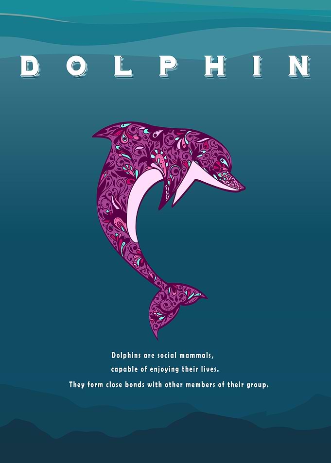 Dolphin