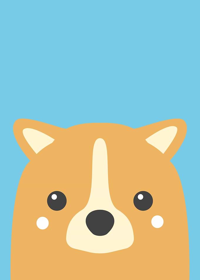 Cartoon Animal