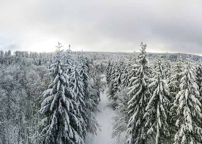 Fantastic winter landscape