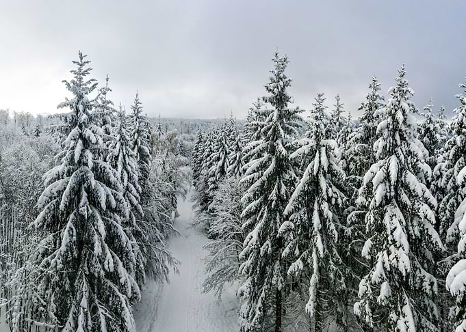 Fantastic winter landscape