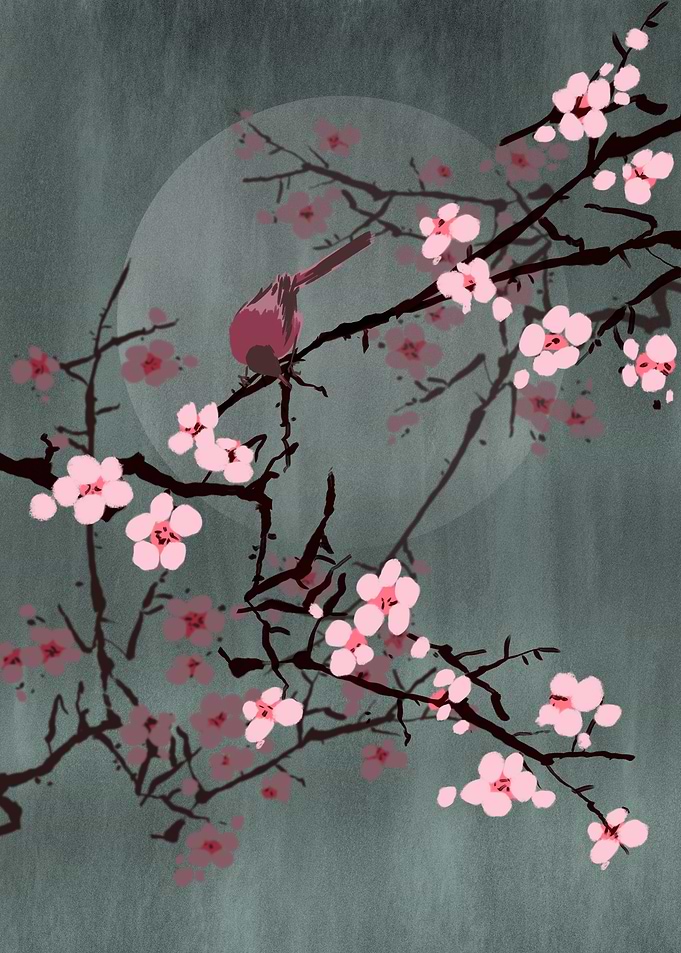 Cherry Blossom and bird