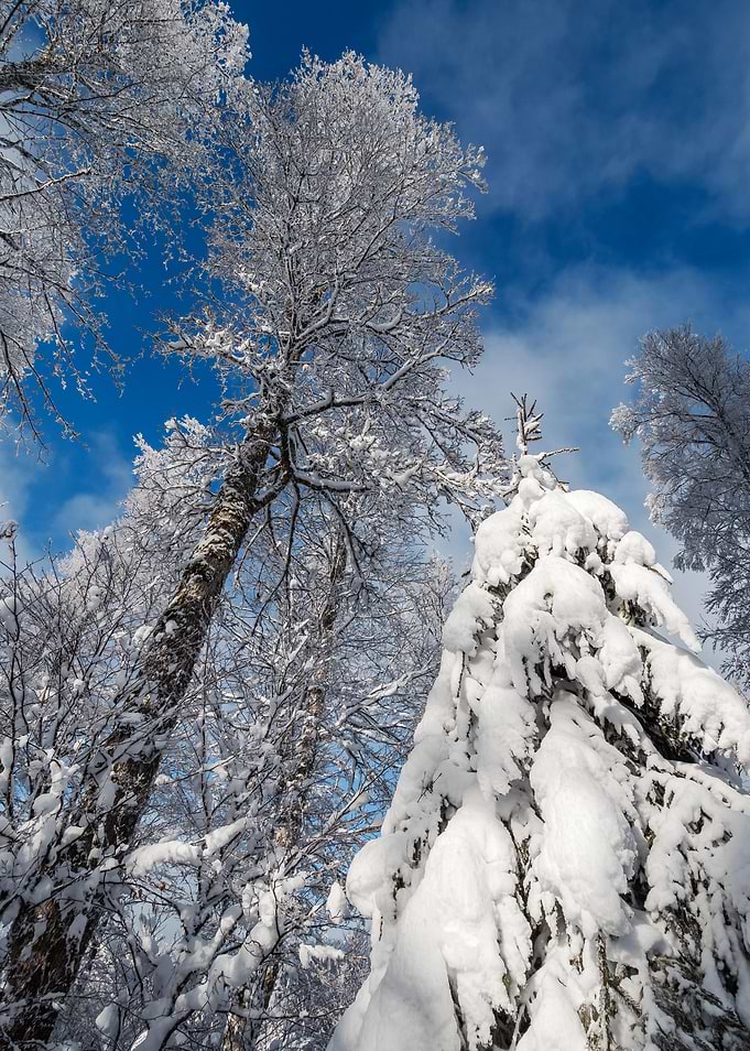 Fantastic winter landscape